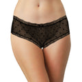The Lace Hipster Panty